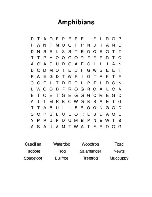 Amphibians Word Search Puzzle