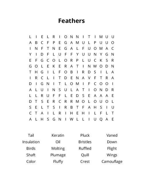 Feathers Word Search Puzzle