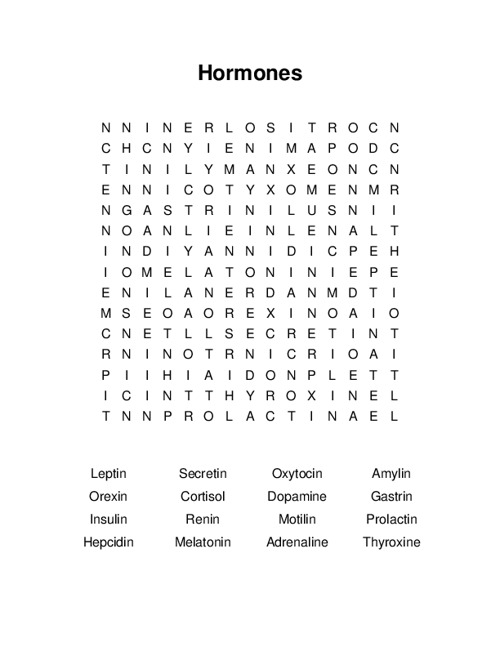 Hormones Word Search Puzzle