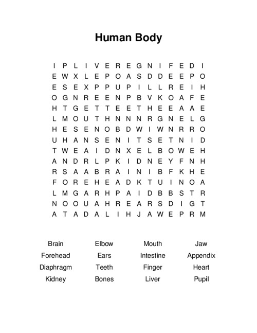 Human Body Word Search Puzzle