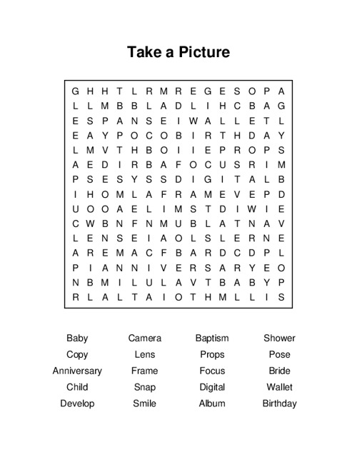 Take a Picture Word Search Puzzle