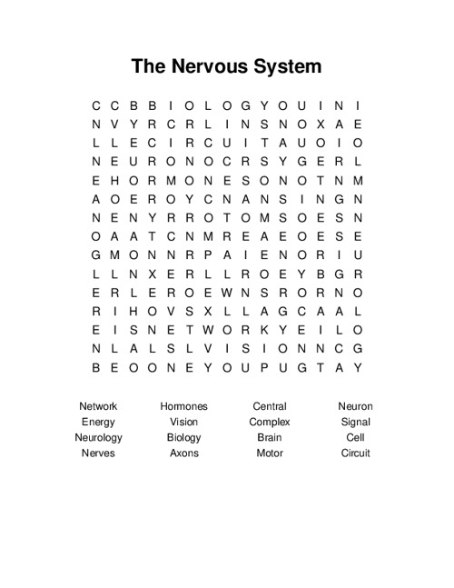 The Nervous System Word Search Puzzle