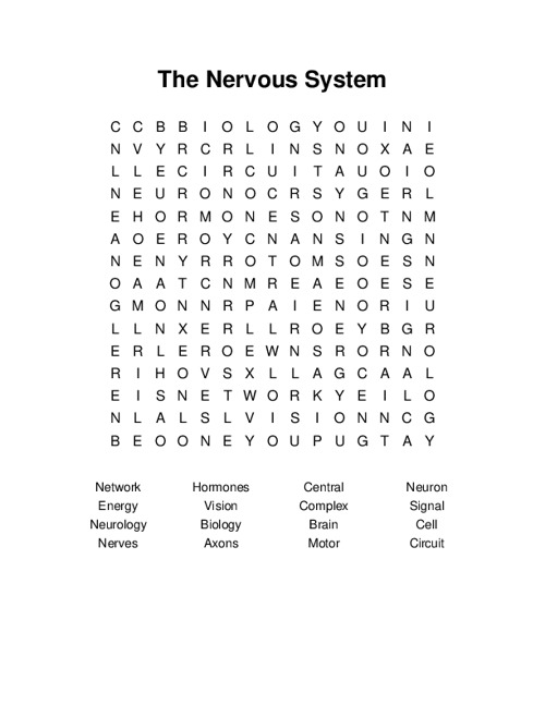 the-nervous-system-word-search