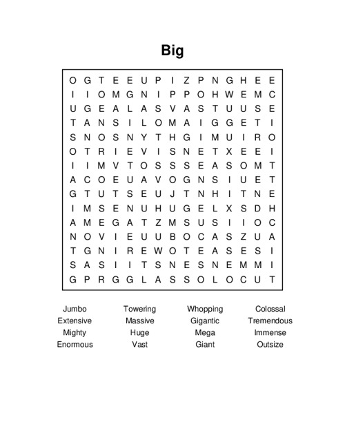 Big Word Search Puzzle