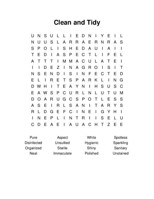 Clean And Tidy Word Search