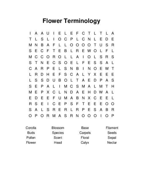 Flower Terminology Word Search Puzzle