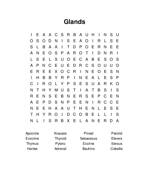 Glands Word Search Puzzle