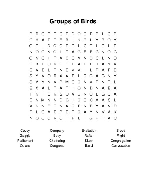 Groups of Birds Word Search Puzzle