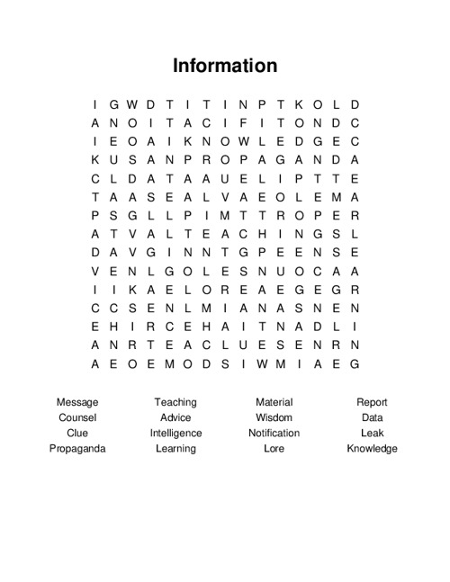 Information Word Search Puzzle