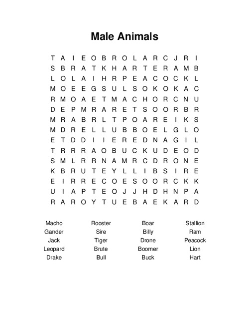 Male Animals Word Search Puzzle