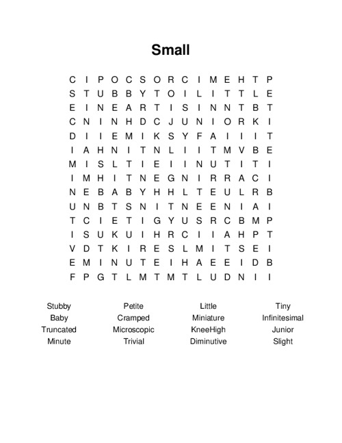 Small Word Search