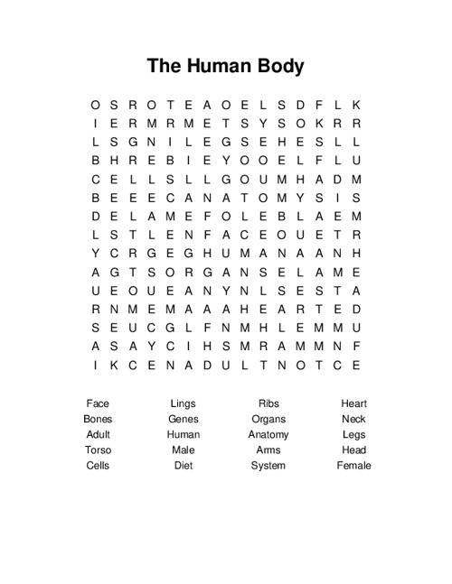 The Human Body Word Search