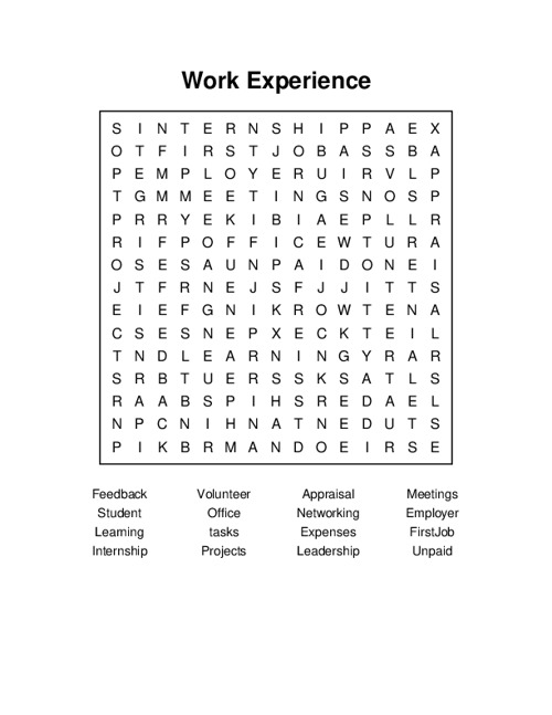 Work Experience Word Search Puzzle