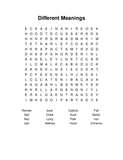 Different Meanings Word Search Puzzle