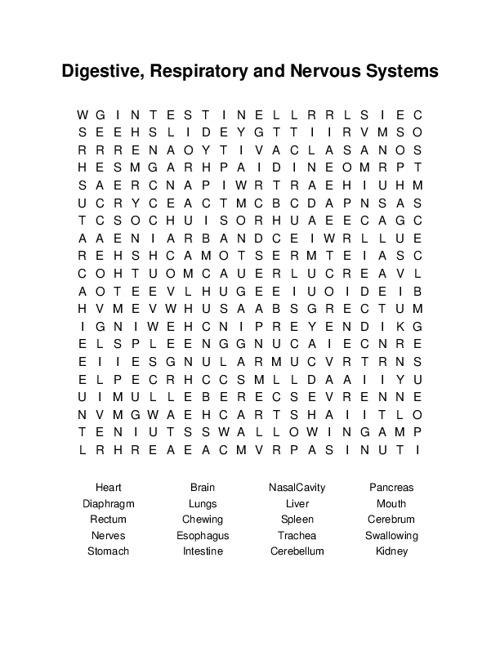 Digestive, Respiratory and Nervous Systems Word Search Puzzle