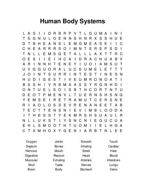 Human Body Systems Word Search Puzzle