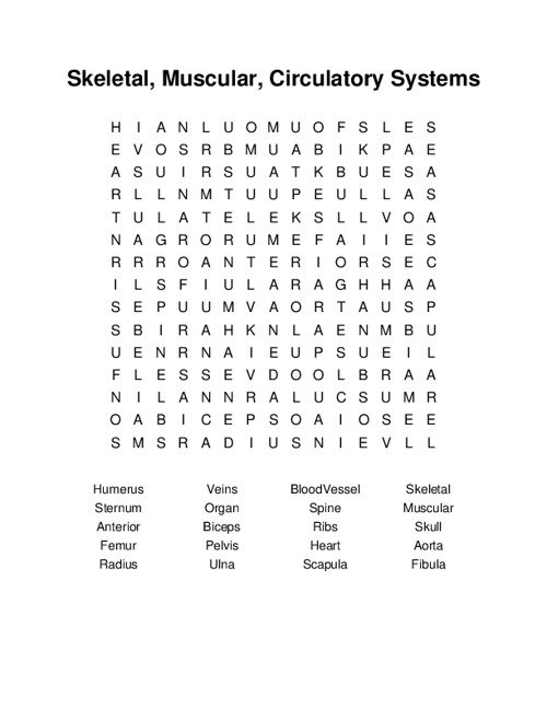 Skeletal, Muscular, Circulatory Systems Word Search Puzzle