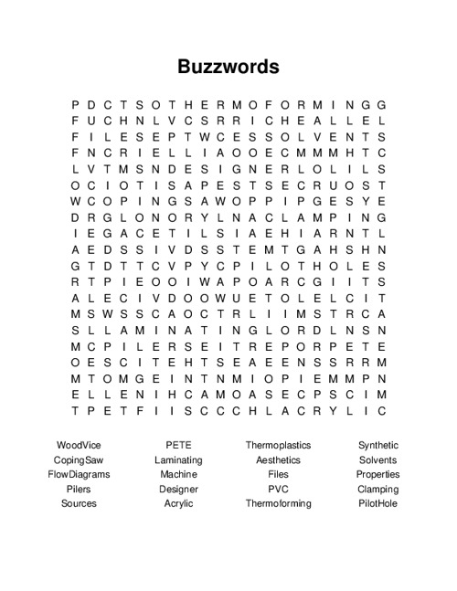 Buzzwords Word Search Puzzle