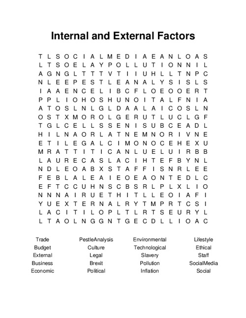 Internal and External Factors Word Search Puzzle