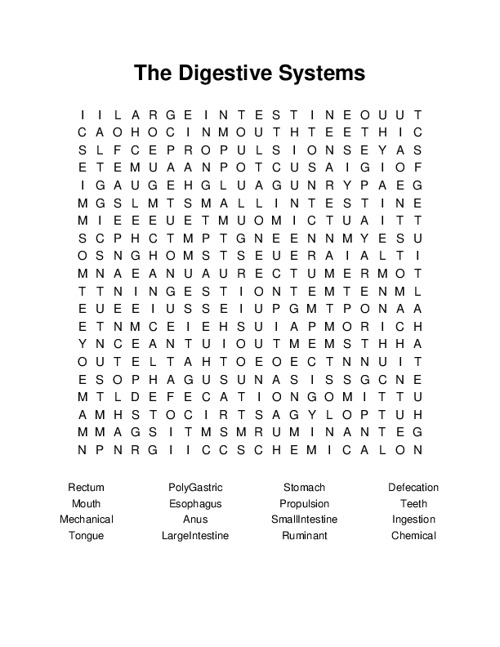 The Digestive Systems Word Search Puzzle
