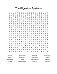 The Digestive Systems