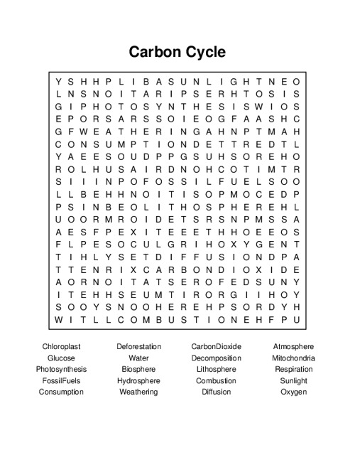 Carbon Cycle Word Search Puzzle