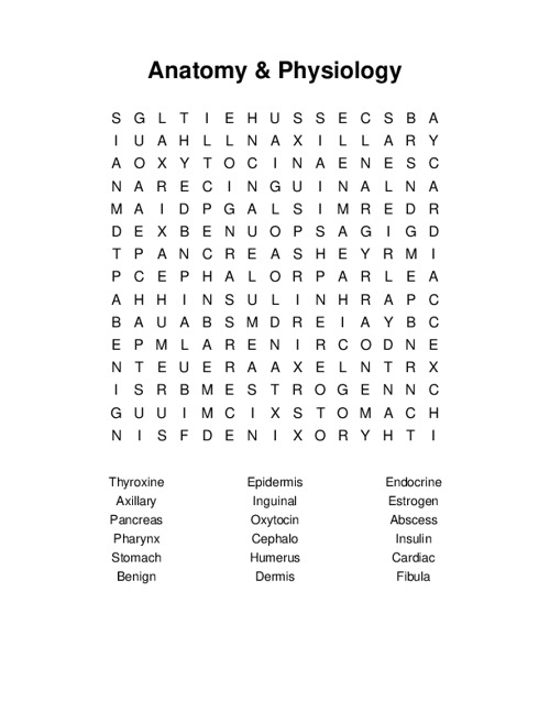 Anatomy & Physiology Word Search Puzzle