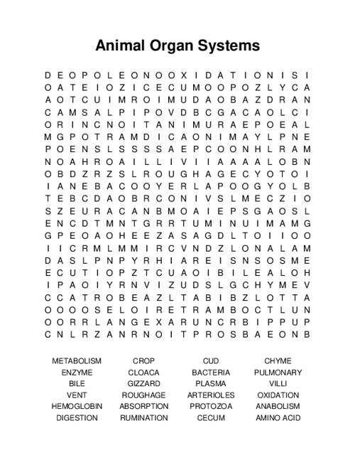 Animal Organ Systems Word Search Puzzle