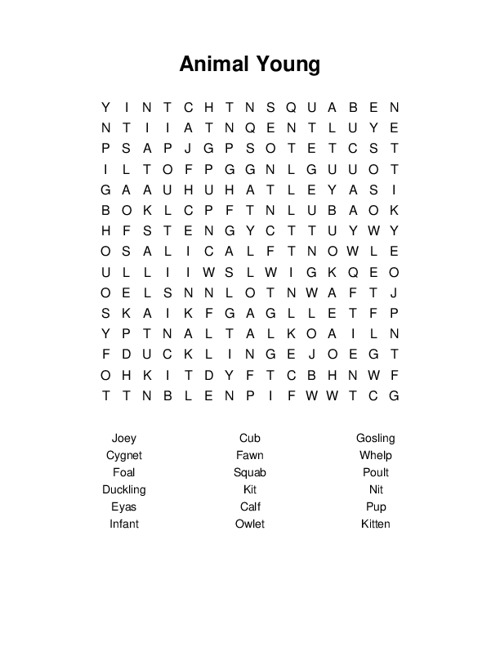Animal Young Word Search Puzzle