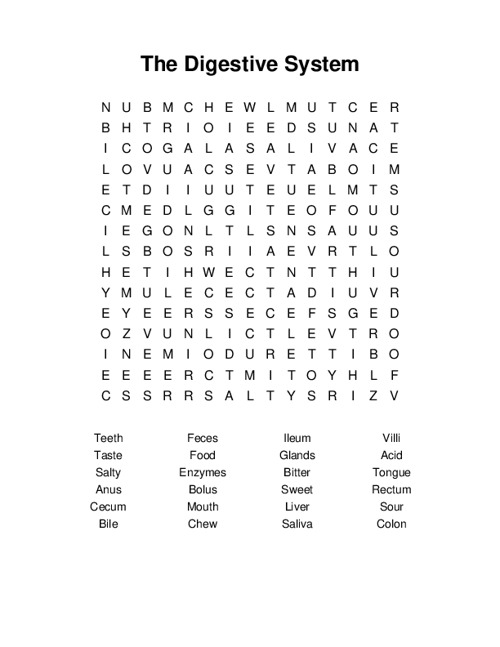 The Digestive System Word Search Puzzle