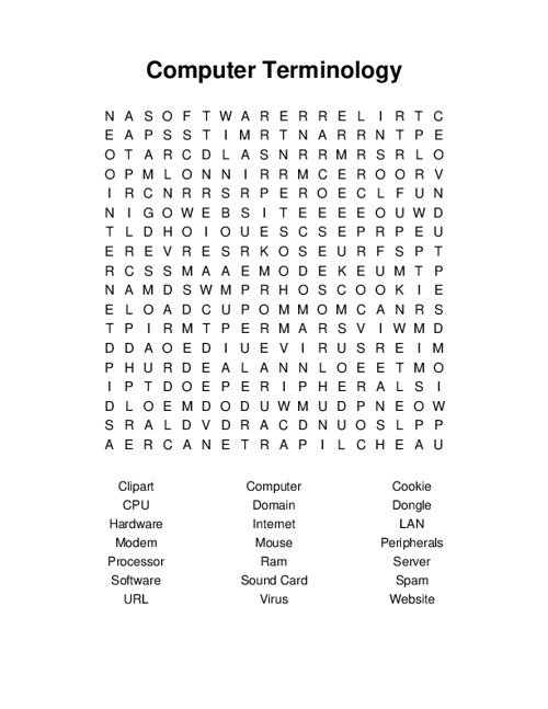 Computer Terminology Word Search Puzzle
