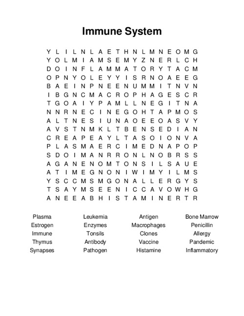 Immune System Word Search Puzzle