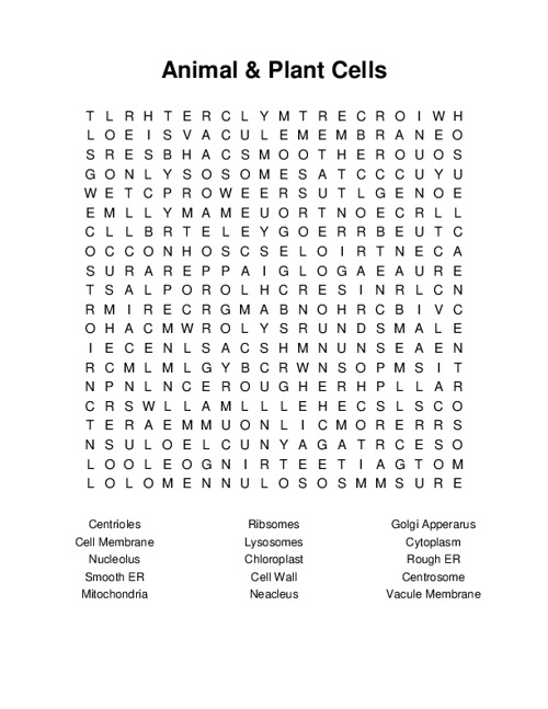 Animal & Plant Cells Word Search Puzzle