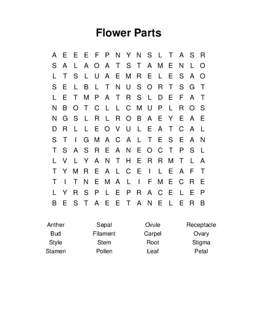 Flower Parts Word Search Puzzle