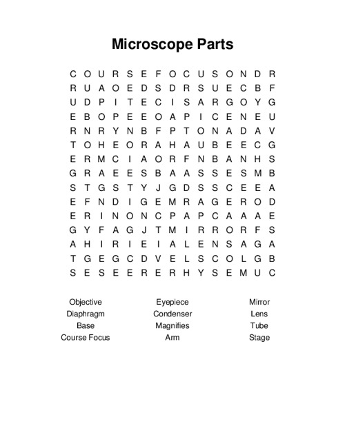 Microscope Parts Word Search Puzzle