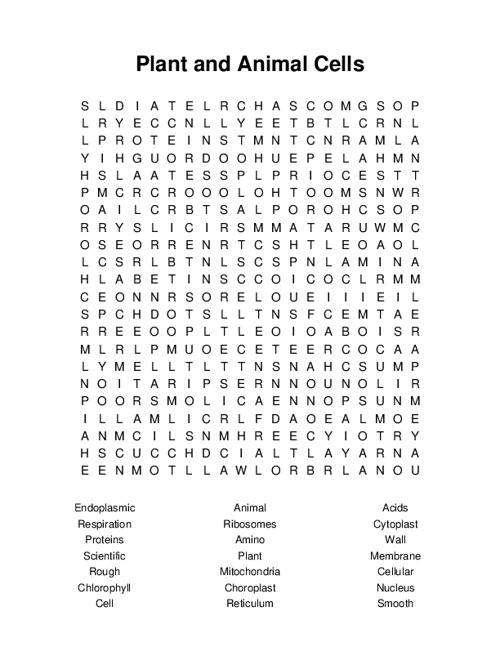 Plant and Animal Cells Word Search Puzzle