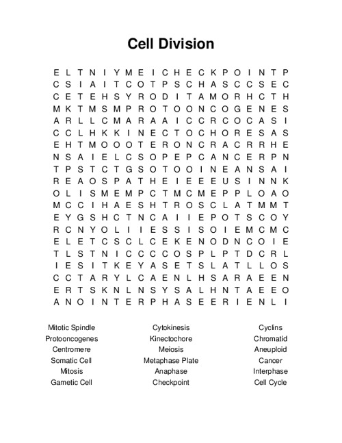 Cell Division Word Search Puzzle