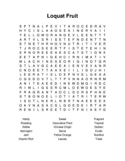 Loquat Fruit Word Search Puzzle