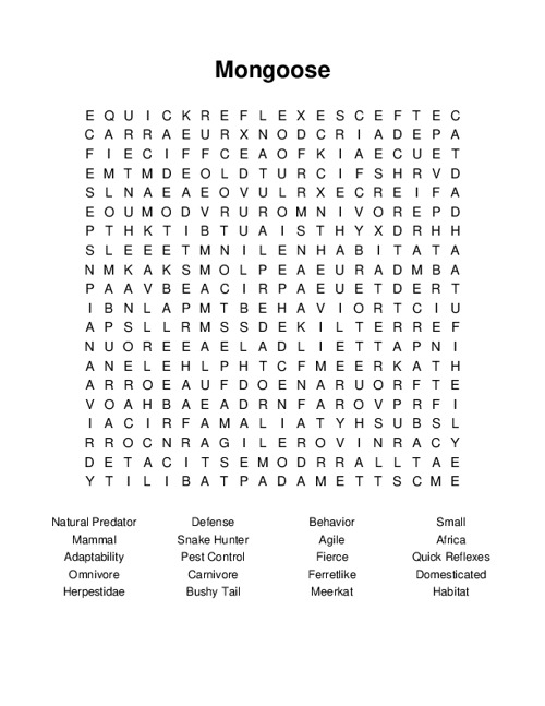 Mongoose Word Search