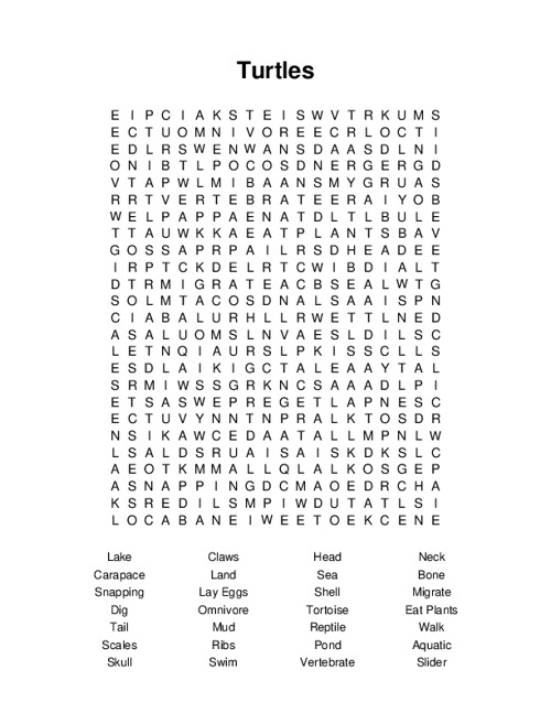 Turtles Word Search Puzzle