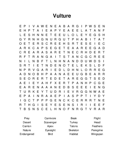 Vulture Word Search Puzzle