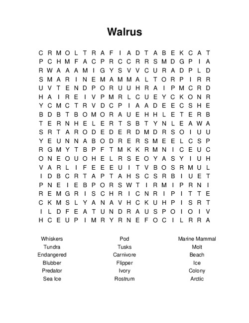 Walrus Word Search Puzzle
