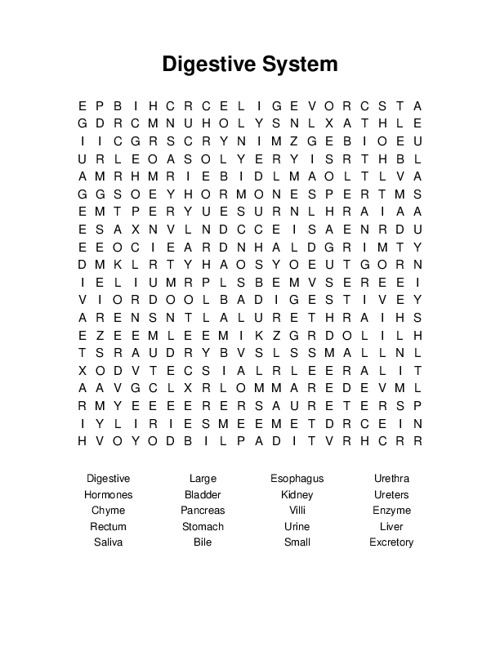 Digestive System Word Search Puzzle