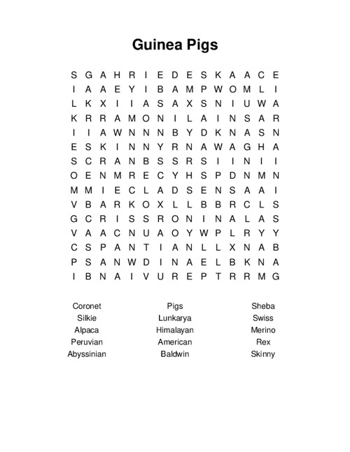 Guinea Pigs Word Search Puzzle