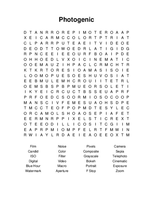 Photogenic Word Search Puzzle