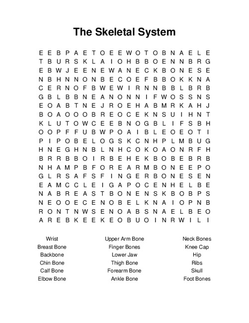 The Skeletal System Word Search Puzzle