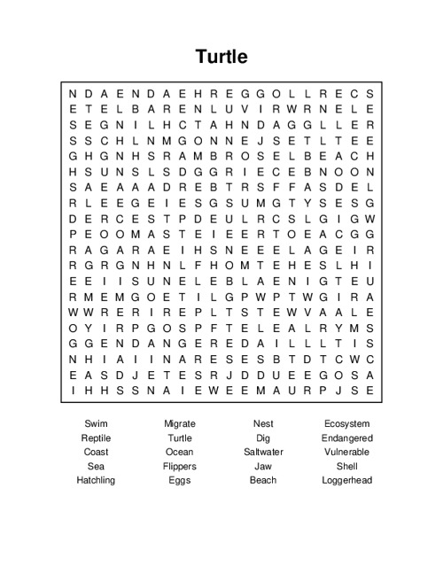 Turtle Word Search Puzzle