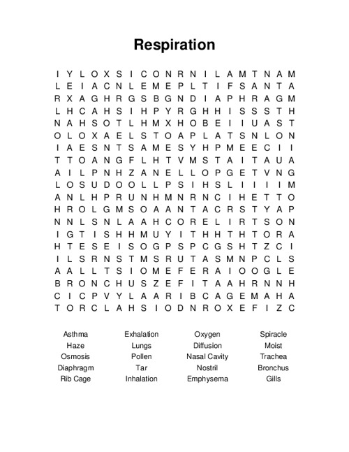 Respiration Word Search Puzzle