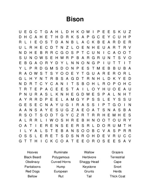 Bison Word Search Puzzle
