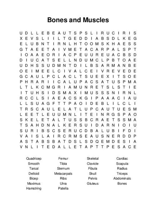 Bones and Muscles Word Search Puzzle